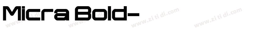 Micra Bold字体转换